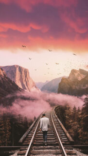Free Best Wallpapers