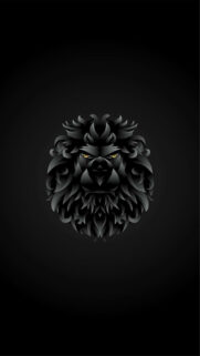 Free Best Wallpapers