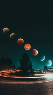 Free Best Wallpapers
