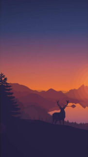 New Best Wallpapers