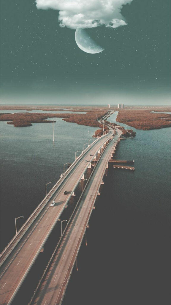 Previous