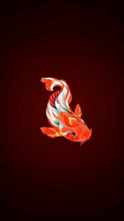 New Best Wallpapers