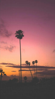 New Best Wallpapers