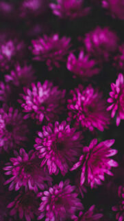 Samsung Galaxy A6 Wallpapers – Samsung Wallpaper Free Download