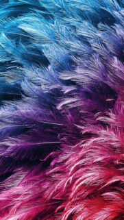 Samsung Galaxy A9 Pro Wallpapers – Samsung Wallpaper Free Download (15)