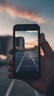 Apple Wallpapers Free Download For You