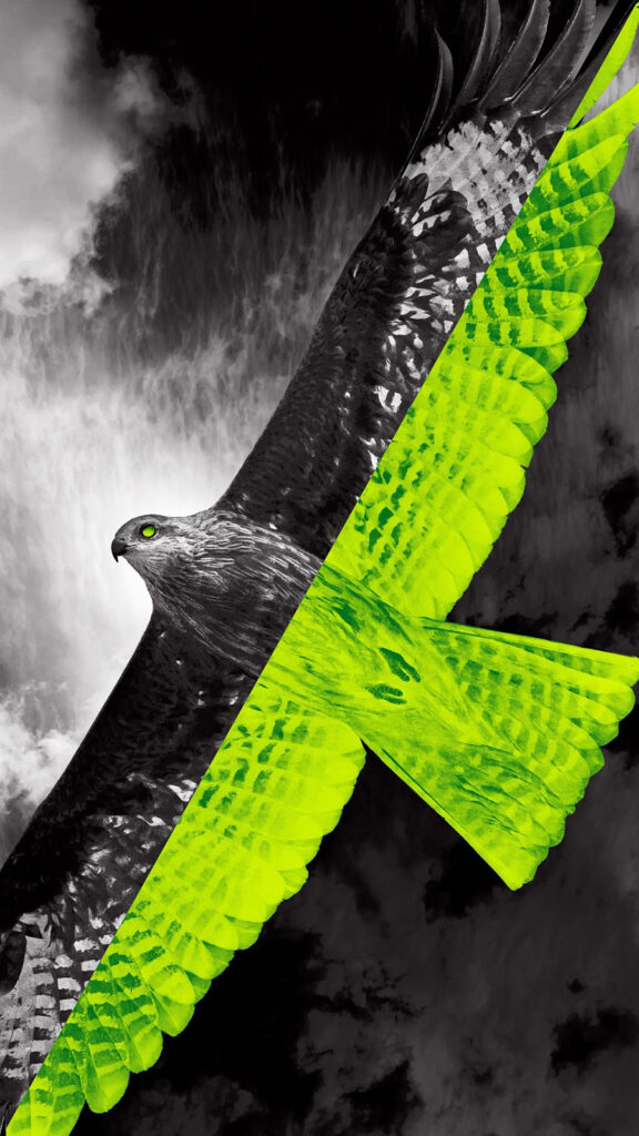 Previous