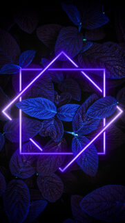 New Apple Wallpapers Free Download