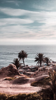 New Best Nature Wallpapers Free Download