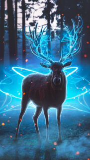 New Best Animals Wallpapers Free Download