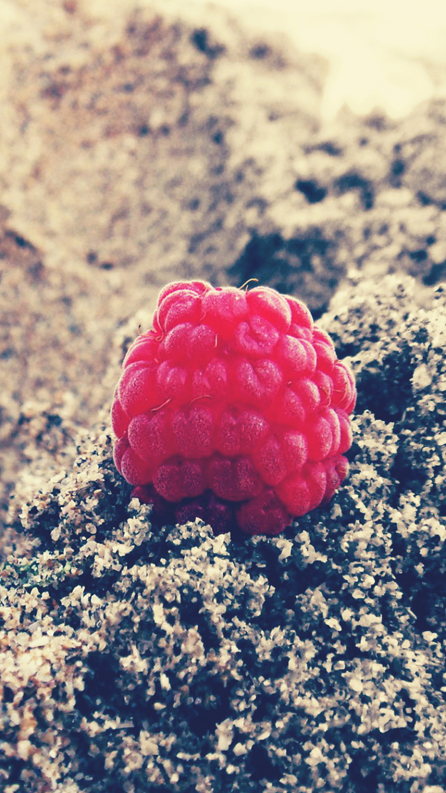 Red Raspberry HTC Macro Android Wallpaper