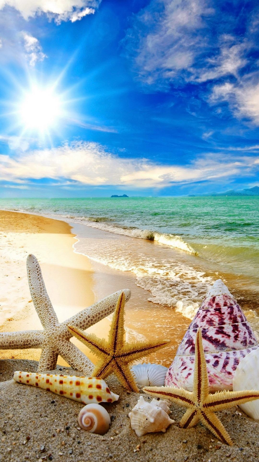 Summer Beach Sun Starfish Waves Wallpaper