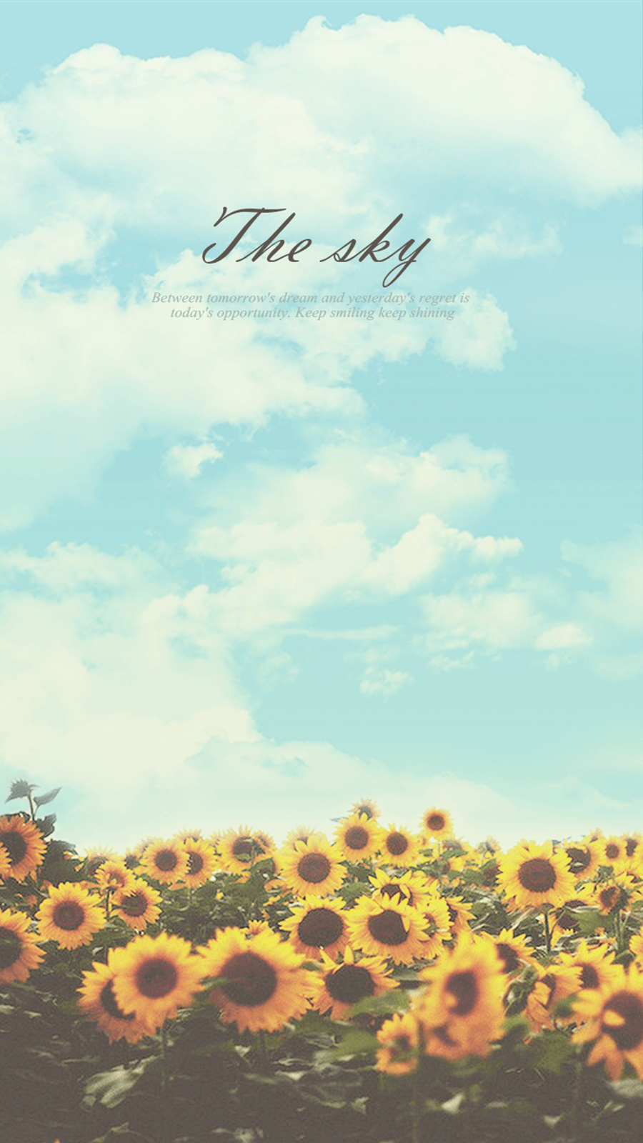 Sunflower Sky Keep Shining Wallpaper