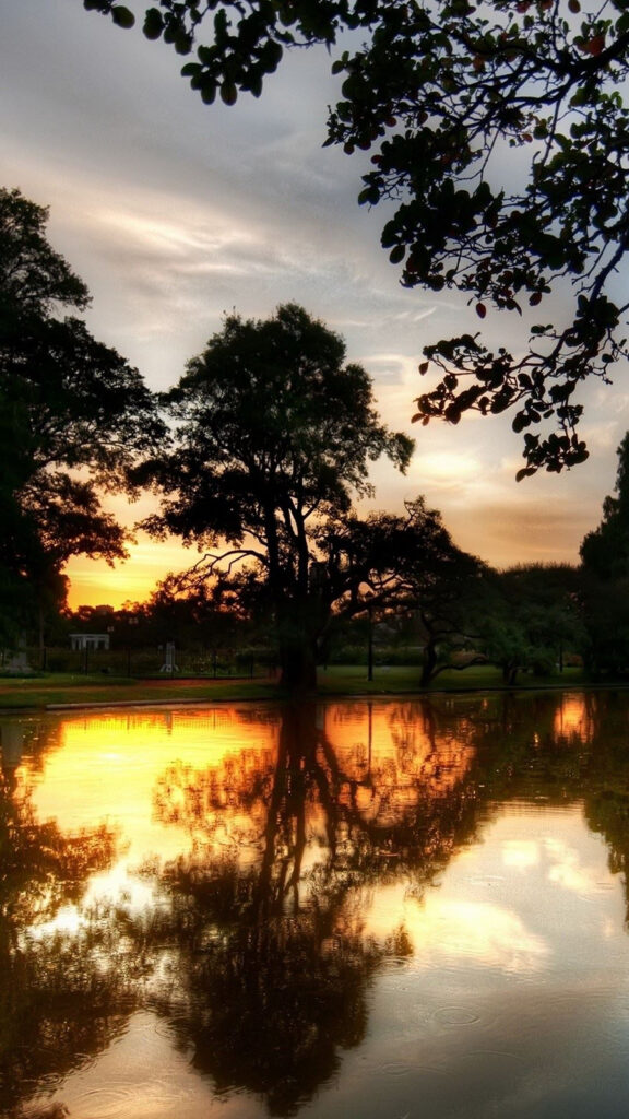 Previous