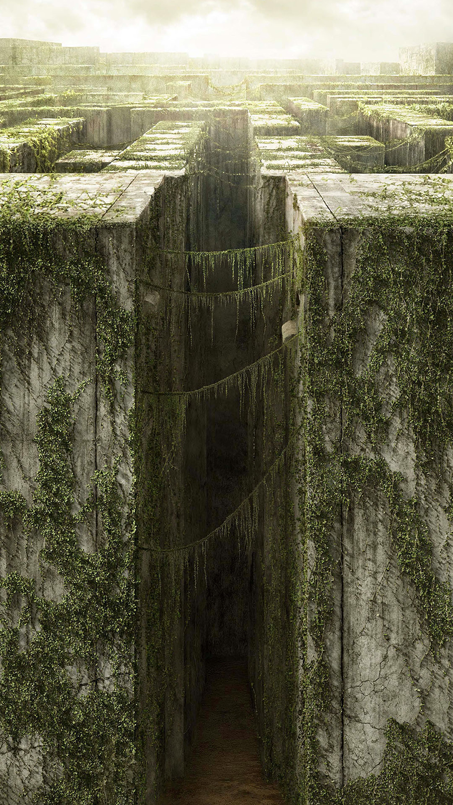 The Maze Runner Movie Poster Android Wallpaper