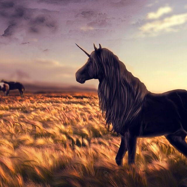 Fantasy Wallpaper