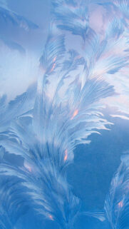 Abstract Wallpapers Free Download (4)