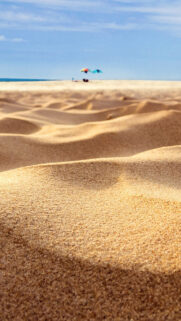Beach Sand Dunes Closeup Wallpapers Download