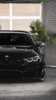 Bmw Lover for Wallpaper – Most Popular BMW Wallpapers Free Download