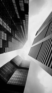 City Skyscrapers Birds HD Wallpapers Free Download