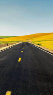 Country Road Yellow Hills HD Wallpapers Free Download
