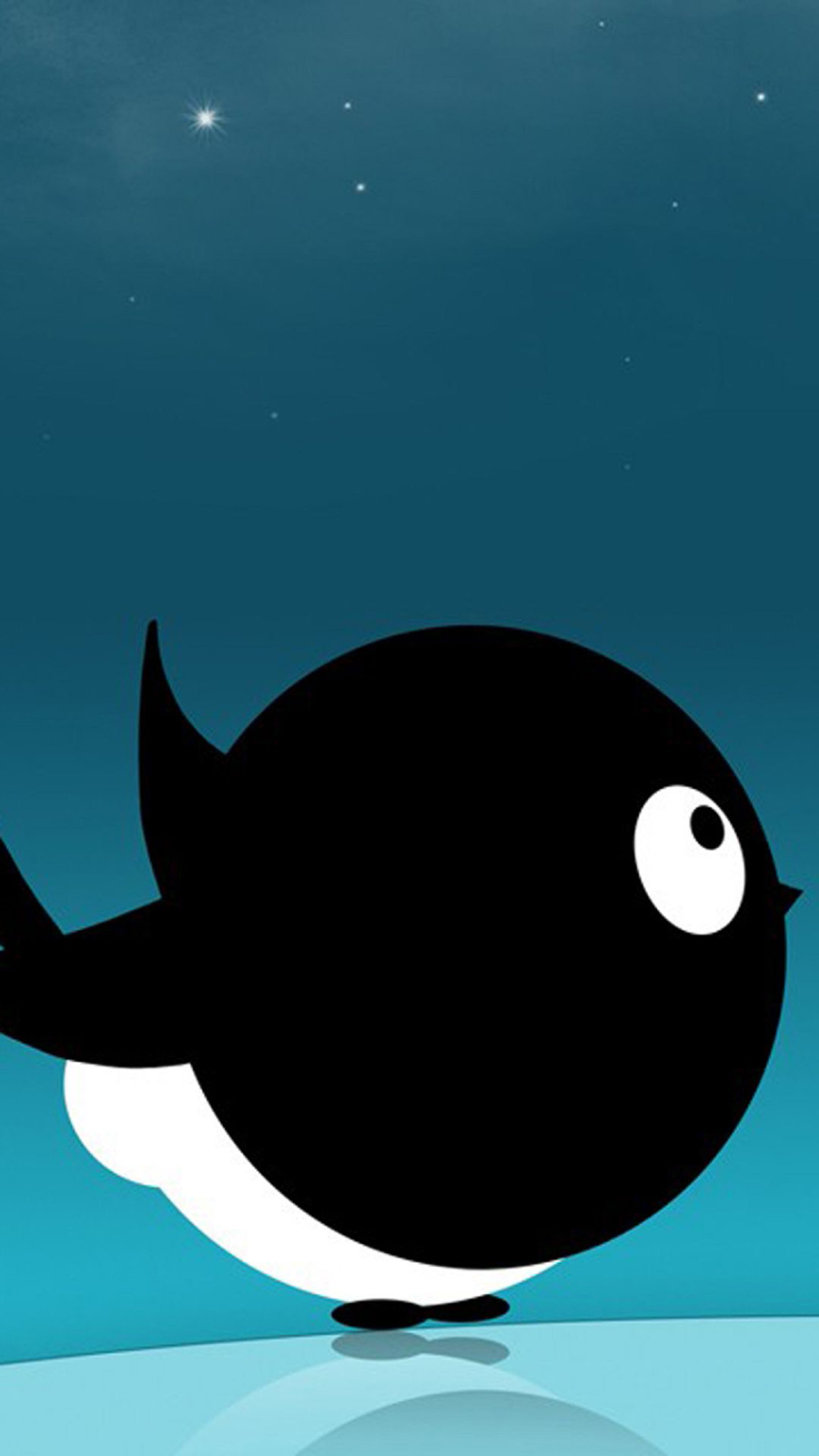 Cute Black Bird HD Wallpapers Free Download