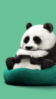 Cute Panda Wallpaper – Cute Cartoon Animals Wallpapers Free Download