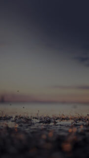 Dark Afternoon Drops Of Water HD Wallpapers Free Download