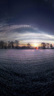 Dawn In The Field HD Wallpapers Free Download
