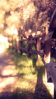 Depth Of Field Wood Fence Wallpapers Free Download