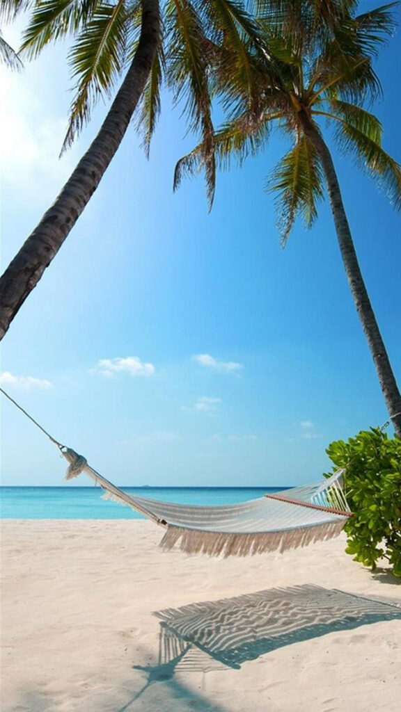 Previous