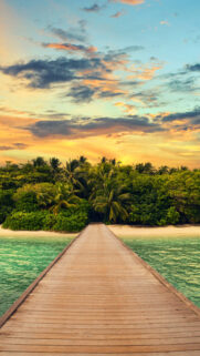 Exotic Island Forest Summer 4K Wallpapers Free Download