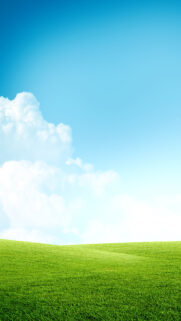 Grass Field Blue Sky Clouds Android Wallpaper