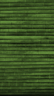 Green Bamboo Wood Phone Wallpapers Free Download