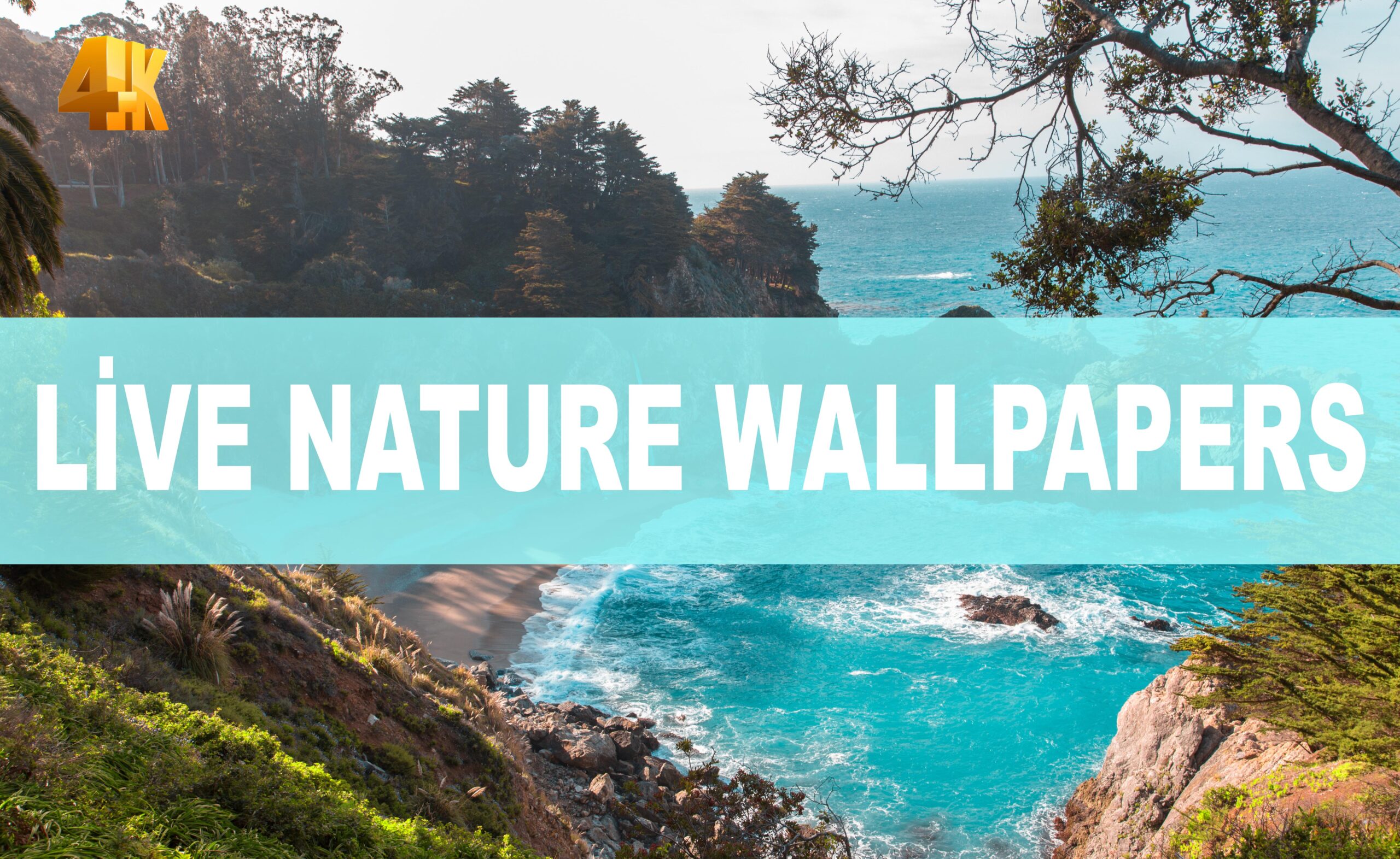 4K Live Nature Wallpapers - Live Wallpapers Prepared for Your Device