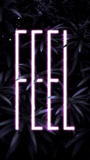 Neon Wallpaper – Phone Neon Feel Wallpapers Free Download