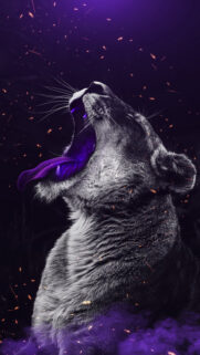 New Wallpaper – New Wallpapers For Phone and Desktop Free Download (12)