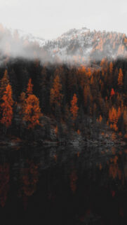 New Wallpaper – New Wallpapers For Phone and Desktop Free Download (7)