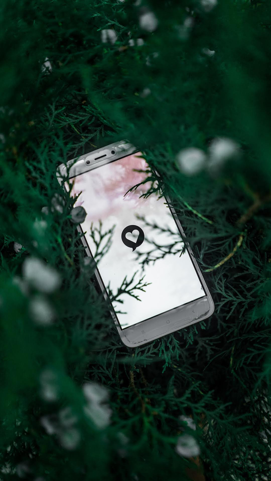 Phone, Nature, Lights, Wallpapers Free Download For Mobile