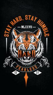 Tiger Wallpaper – Phone Tiger Wallpapers Free Download