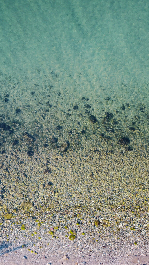 Previous