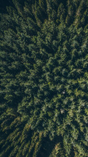 4K Full HD Wallpapers Free Download