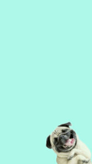 Alcatel 3V Wallpapers Free Download For Mobile & Desktop