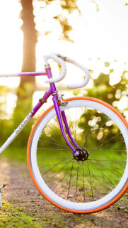 Colorful Vintage Bicycle HD Wallpapers Free Download