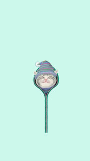 Cute Cat HD Wallpapers Free Download