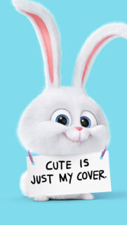 Cute Is Rabbit HD Wallpapers Free Download