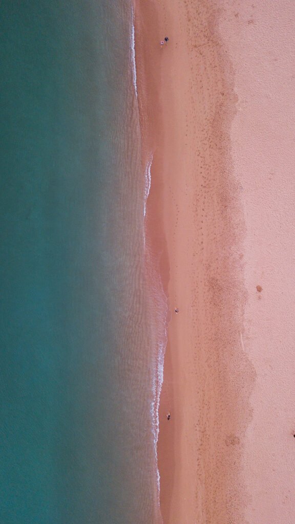 Previous