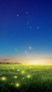 Fireflies Country Wallpapers Free Download For Mobile & Desktop