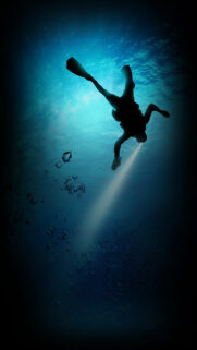 Fishman Wallpapers Free Download
