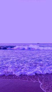 Purple Ocean, Sea, Beach Wallpapers Free Download